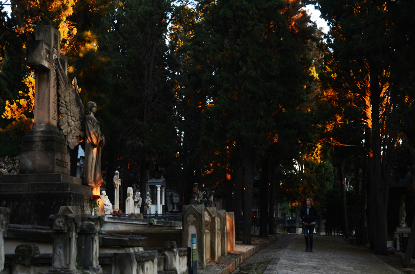 Cementiri de Montjuïc8