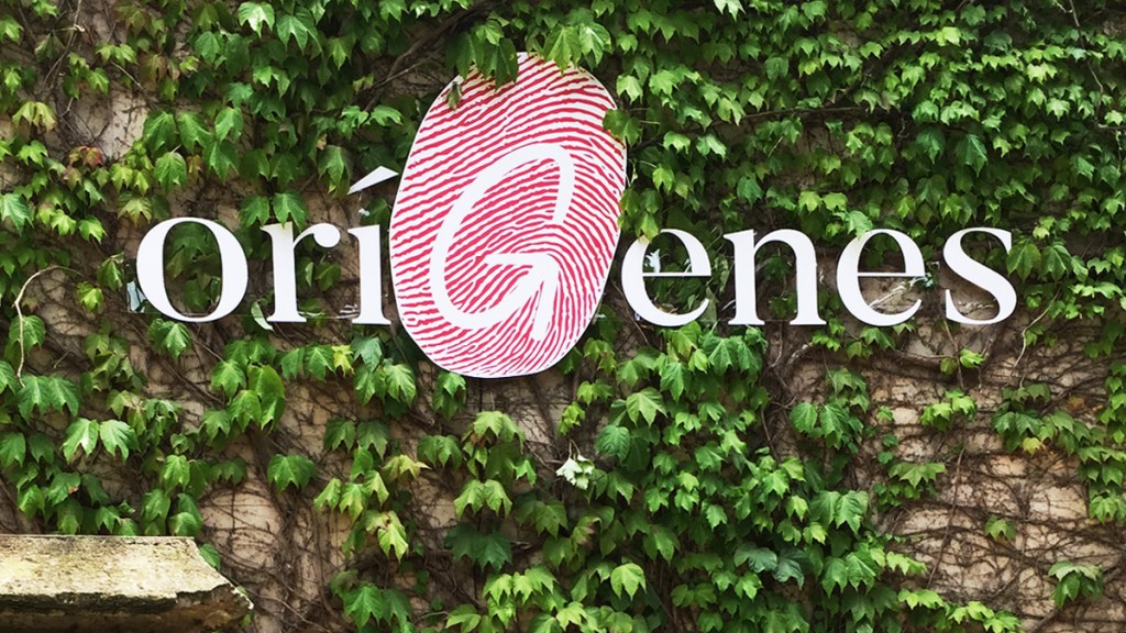 OríGenes Gastronomic Festival logo on ivy-covered wall