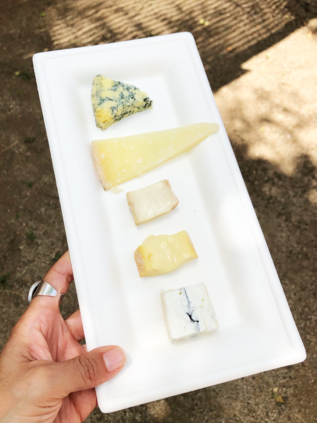 A compostable plate with 5 different cheeses on it