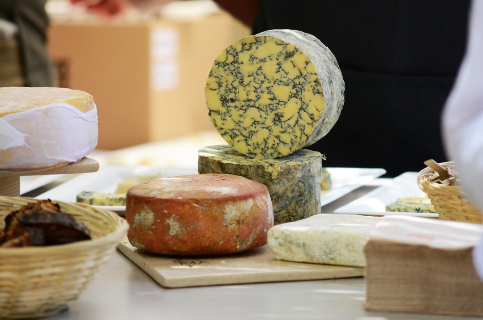 Wheels of cheese on display